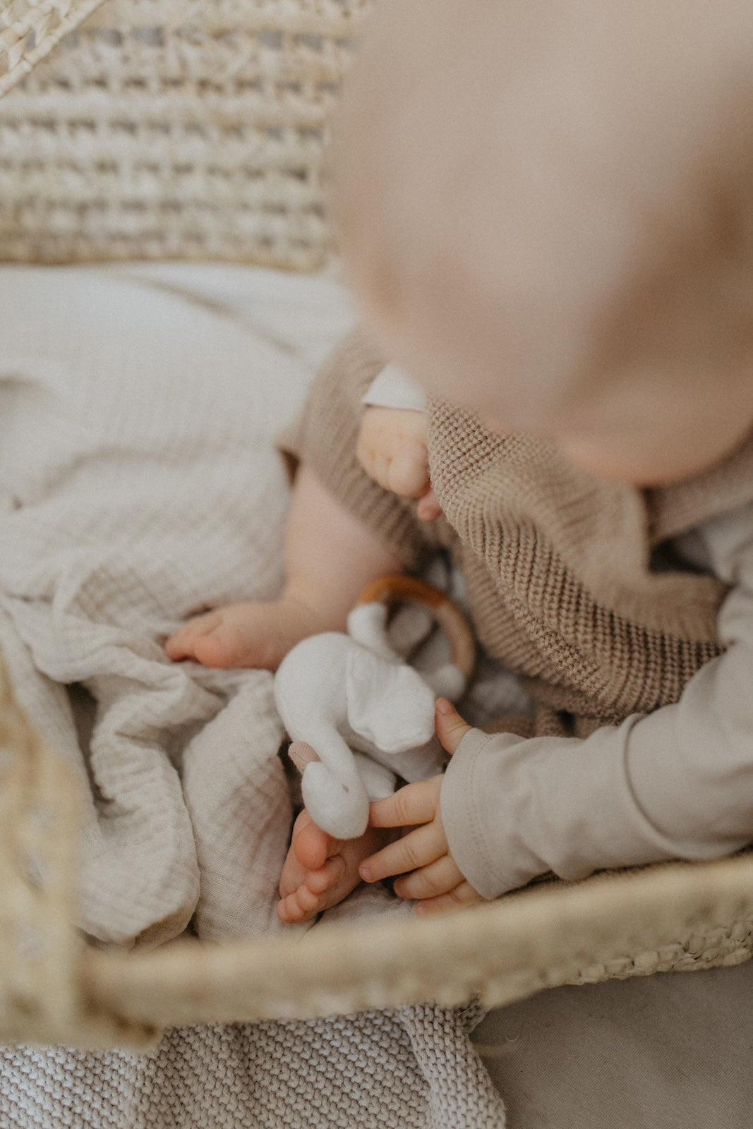 Baby rattle with wooden ring 'swan'